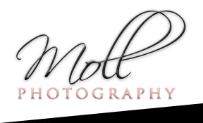 Moll Photography [logo]